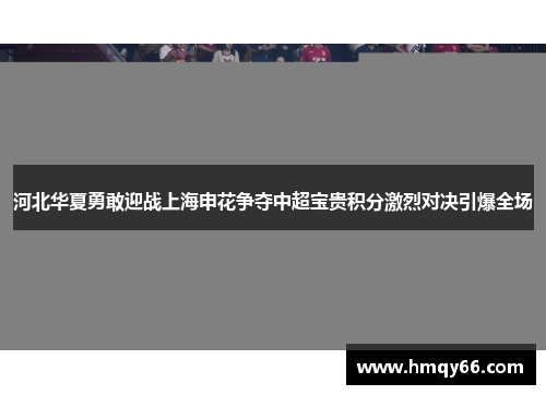 河北华夏勇敢迎战上海申花争夺中超宝贵积分激烈对决引爆全场