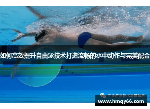 如何高效提升自由泳技术打造流畅的水中动作与完美配合