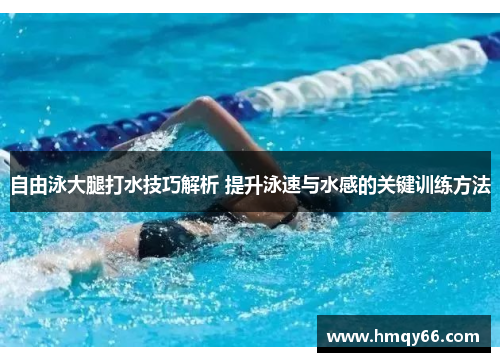 自由泳大腿打水技巧解析 提升泳速与水感的关键训练方法