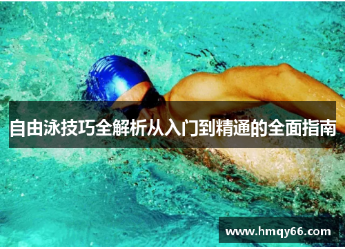 自由泳技巧全解析从入门到精通的全面指南